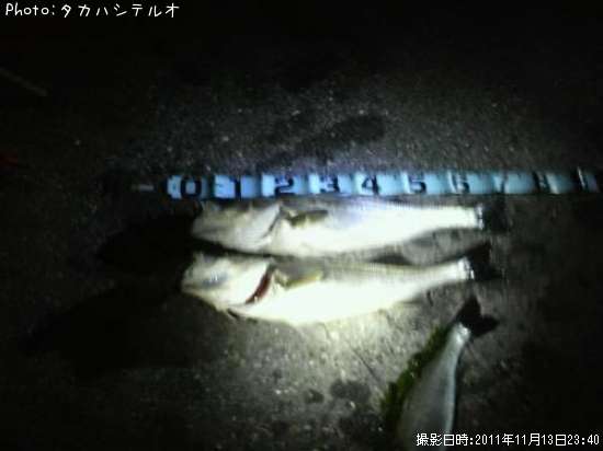 フッコ