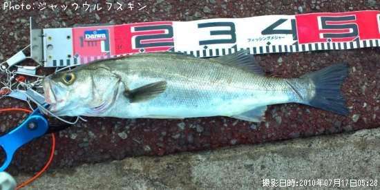 フッコ