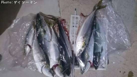 フクラゲ