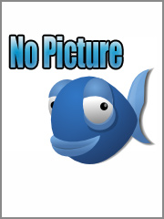 NOフィッシュ