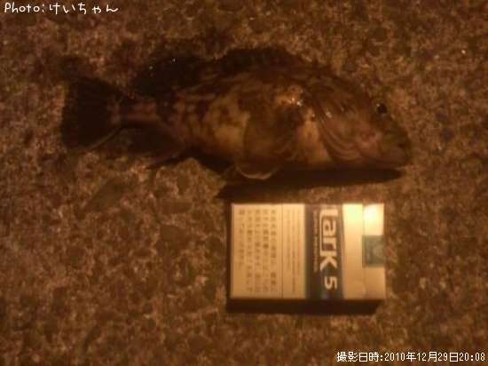 がしら