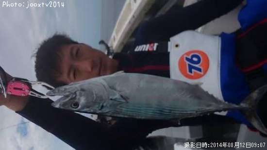 ハガツオ