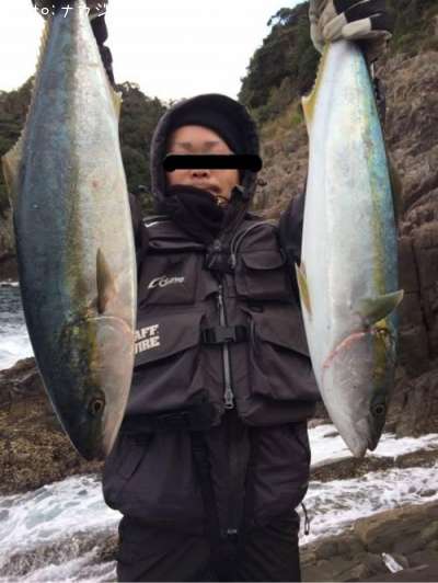 ハマチ