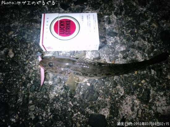 ハゼ