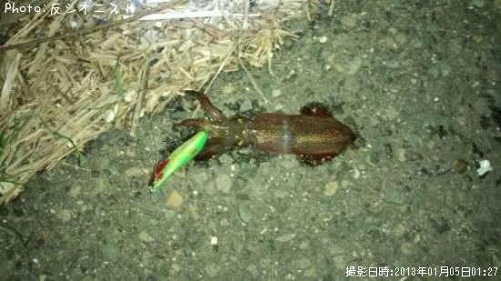 ヒイカ