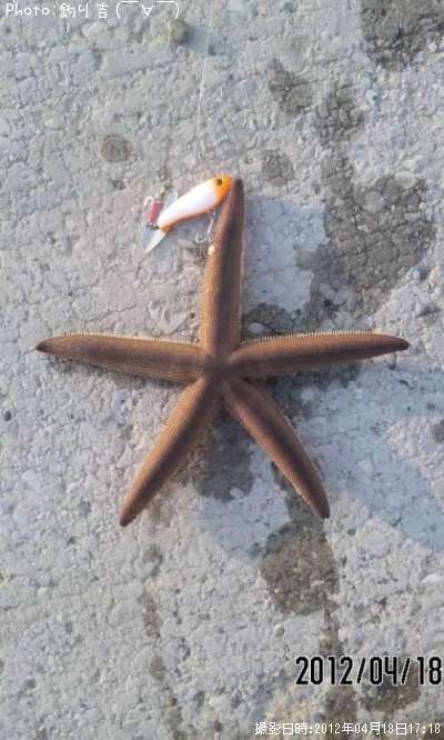 ҥȥ