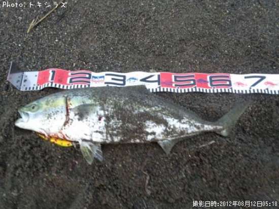 釣り 情報 北海道 はじめて北海道で釣りをする人が知りたい！釣り場&ポイント情報まとめ