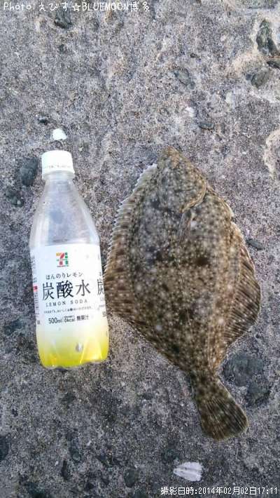 イシガレイ