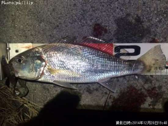 イシモチ
