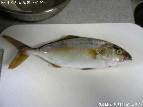 カンパチ