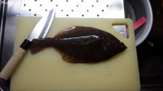 新潟県でカレイが釣れるポイントはどこ？釣れるシーズンやルアー釣り 