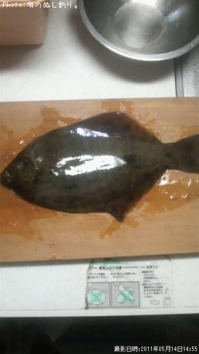 カレイ