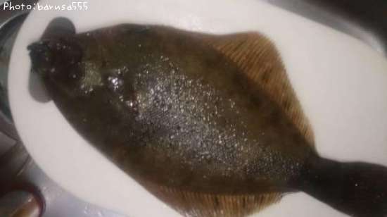 カレイがハゼに変身