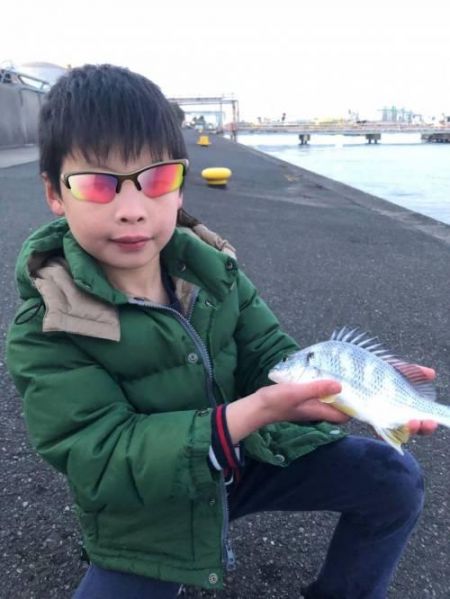 キチヌ