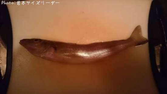 キス