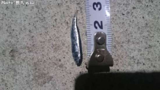 この魚はなんですか??