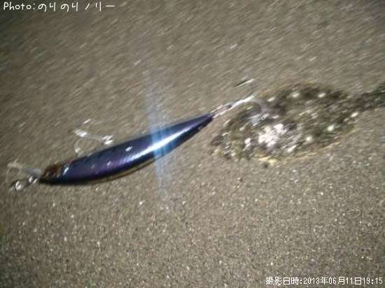 コッパソゲ