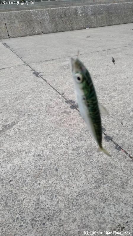 コサバ