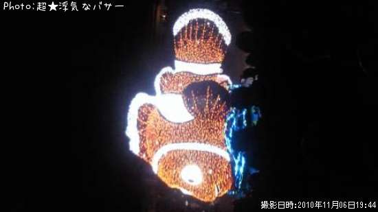 クマノミ