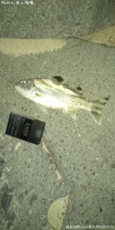 クワガナー