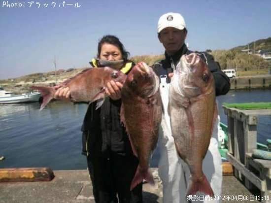 マダイ