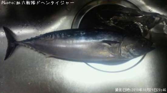 マルソーダ