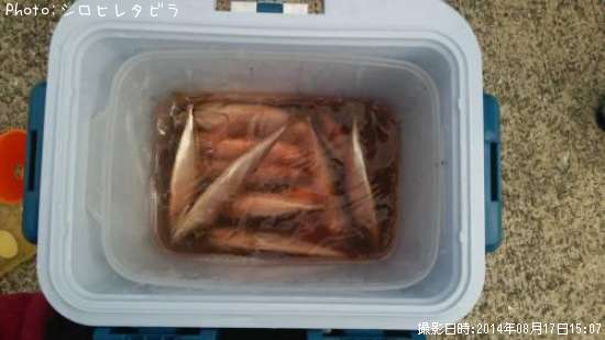 マサバ