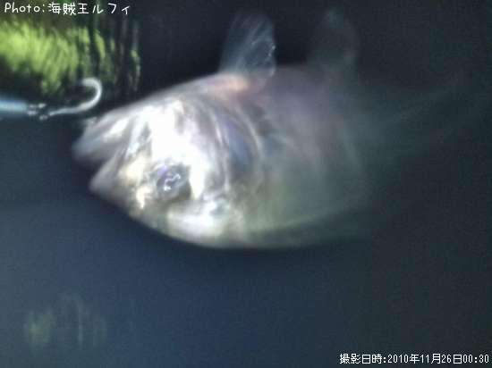 メッキ