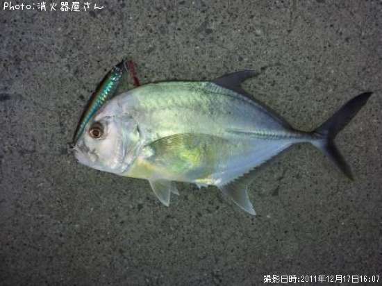 メッキ