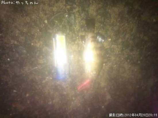 ミニメバル