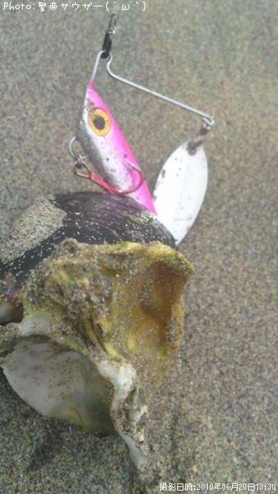 ムール貝