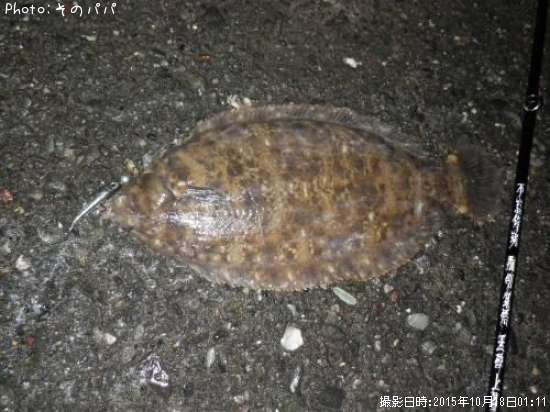 ナメタガレイ