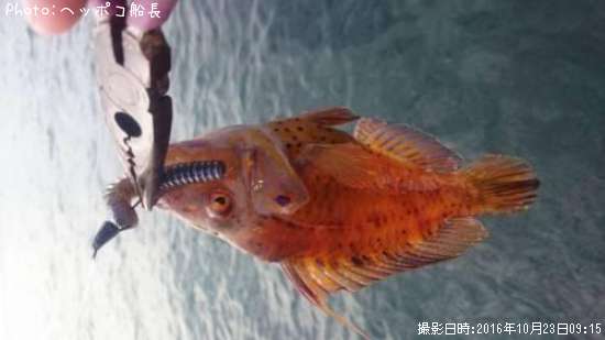 なんだろう?