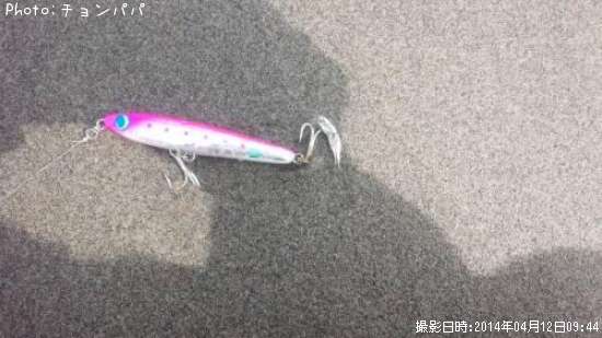 何の子?