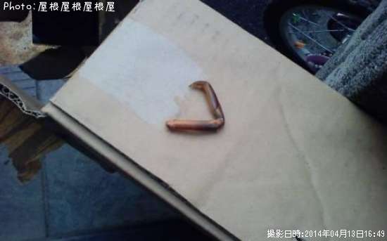 伊勢海老の手か足(^_^)