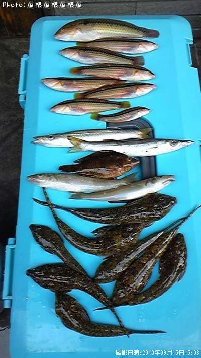 お魚たくさん(笑)