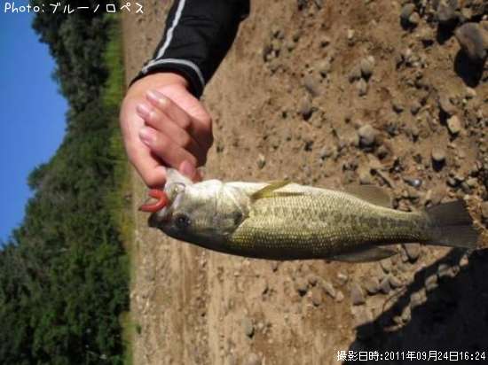 ラージ