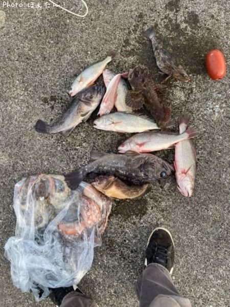 釣りキャンプの釣果