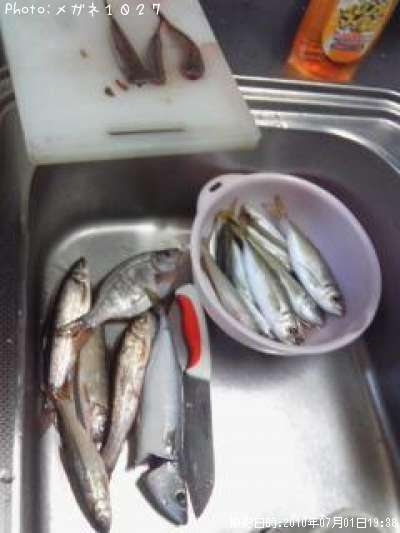 サバその他