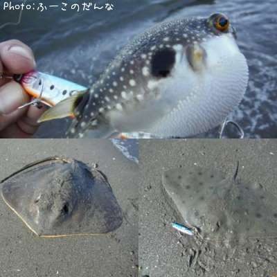 サーフ外道