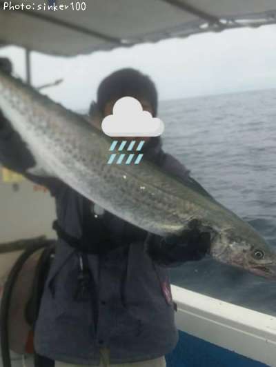 鰆サワラ