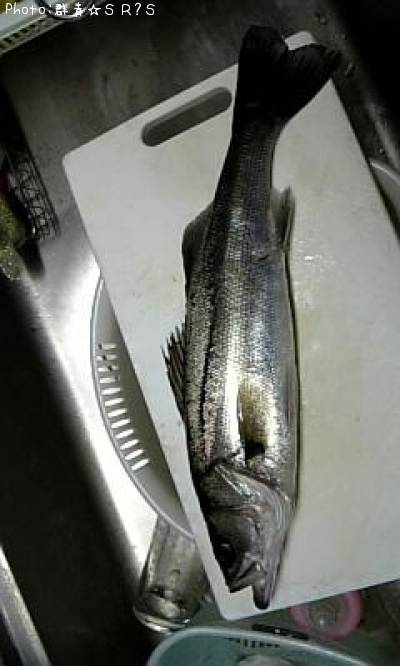 平セイゴ