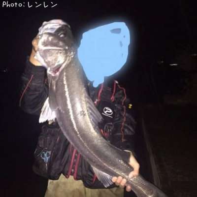 シーバス