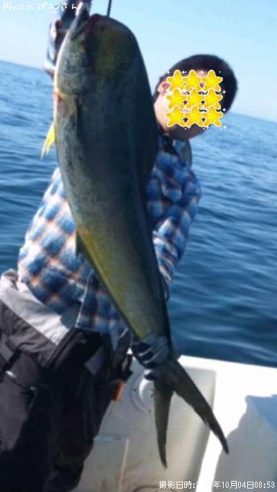 シイラ