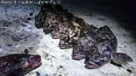 ソイの念頭会議