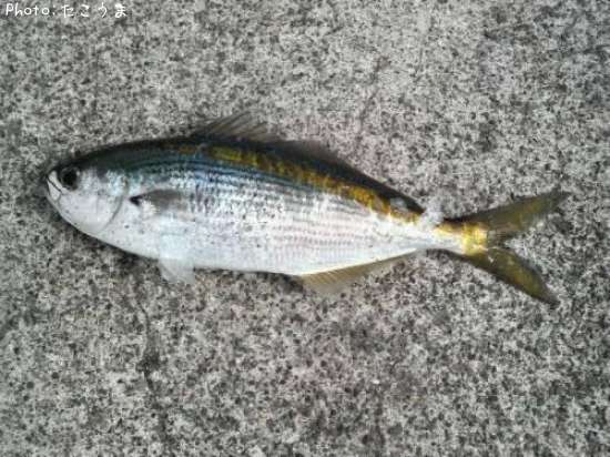タカベ