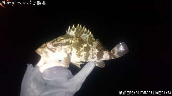タケノコメバル