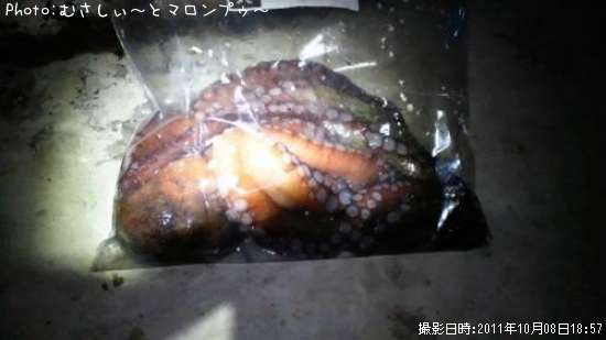 タコ