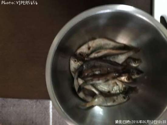 タナゴ ハゼ カサゴ