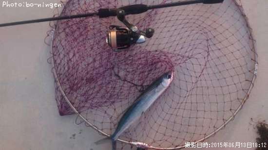 宮城県トビウオ釣り情報まとめ ポイントからルアーまで釣果情報 即戦力釣り情報